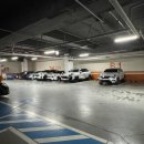 댕댕월드&퍼피 이미지