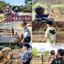 송강테마랜드 | 전북근교 동물원 전격 비교 및 간단후기(전주, 서천생태원, 고창상하목장, 대전오월드,광주우치, 보령...