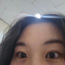 모코네일 | <경기-덕양구/행신역>모코브로우 행신 속눈썹펌 속눈썹 맛집 체험 후기