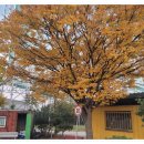 삼성중장비운전학원 - 서구 설원로 102-4 | 천안운전면허학원 후기｜삼성자동차운전전문학원에서 한 번에 합격한 찐리뷰!