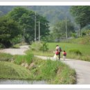 위례초등학교 이미지