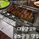 씨유 대구율하광장점 | 대구 율하광장 대룡양꼬치 자동회전 꼬치로 편하게 먹는 동네주민 맛집