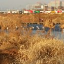 징검다리도서관 이미지