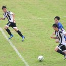 청풍공설운동장 공설운동장 이미지