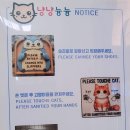 냥냥늉늉 이미지