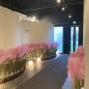 기억저장소 | 천안 광덕 셀프스튜디오 카페 [기억저장소] 대만족 후기
