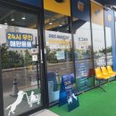 도그마캣포항철길숲점 | [내돈내간] 철길숲 도그마켓