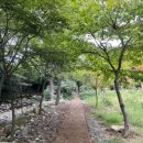 송호파크 이미지