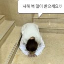 [12-1월 일상] 게으름 일기