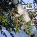 태백산맥 이미지