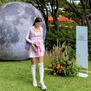 이브닝 스트레칭 요가 | 남산에서 만나는 가을의 호흡, 그랜드하얏트 서울 웰니스위크