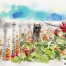 수채화(오후) 이미지