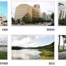 수원-1661 이미지