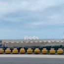 신스포레스트 이미지