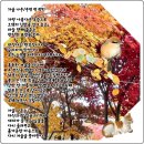 가을나무