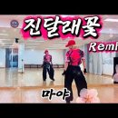 진달래꽃remix - 마야 이미지
