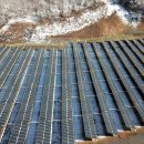 부흥태양광발전소 이미지