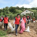 하촌3리 이미지