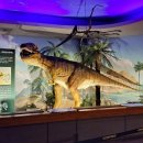 효가사거리 버스정류장 이미지