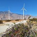 엘에이농장 이미지