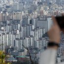당9나라 이미지