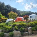 백운장뇌삼관광농원 이미지