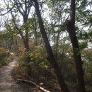 광산구-151 이미지
