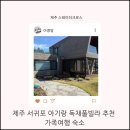 스테이더크로스 네이버블로그