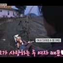 스윗컨츄리 이미지