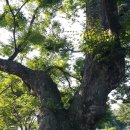 용정1리 마을회관 이미지