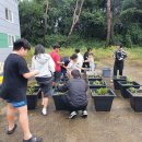 장성농장 이미지