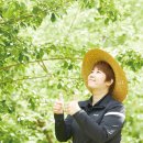 뽕나무영농조합법인