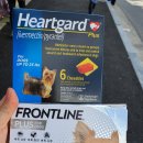 군산해동약국 이미지