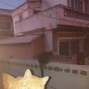 수상한 집 이미지