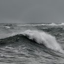 동해바다 2 이미지