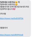 고양이 미용실 그냥 이미지