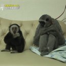 무빈폴댄스