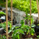 양지농장1 이미지