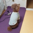 호매실원정형외과의원 이미지