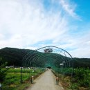 곤양체육시설 | [곤양면테마길] 가을느낌 물씬나는 주말 나들이