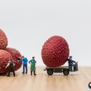 각화동농산물도매시장(채소경매장) 이미지