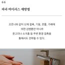 감염병안내-파라바이러스 이미지