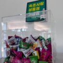 서락핏 네이버블로그
