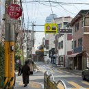 홍대 붙임머리 핀다헤어, 거지존 탈출을 위한 붙임머리 솔직후기