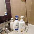 도브(Dove)호텔 이미지