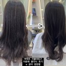 윤아 | [서울대입구 미용실] 아데르헤어 서울대점 머리 클리닉 후기 (w.윤아원장쌤)