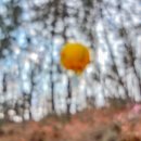 대교  마을회관 이미지