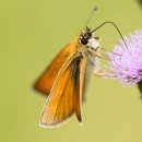 우산로95번길 이미지
