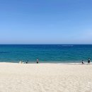 바다정원 이미지