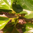 오디하우스 이미지